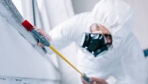 Best Residential Pest Control  in Harwood Heights, IL